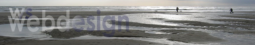 webdesign voor kunstenaars, musici, theatermakers